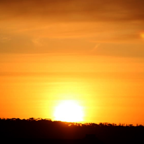 IMG-20200317-WA0031