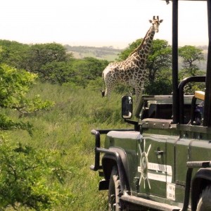 Inkwenkwezi_Private_Game_Reserve-Cintsa_East-Info-14-744891 Inkwenkwezi_Private_Game_Reserve-Cintsa_East-Info-14-744891